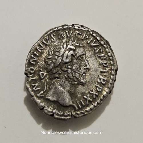 Antonin pieux denari - antonin,